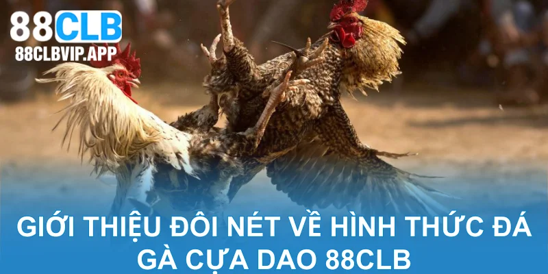 Giới thiệu đôi nét về hình thức đá gà cựa dao 88CLB