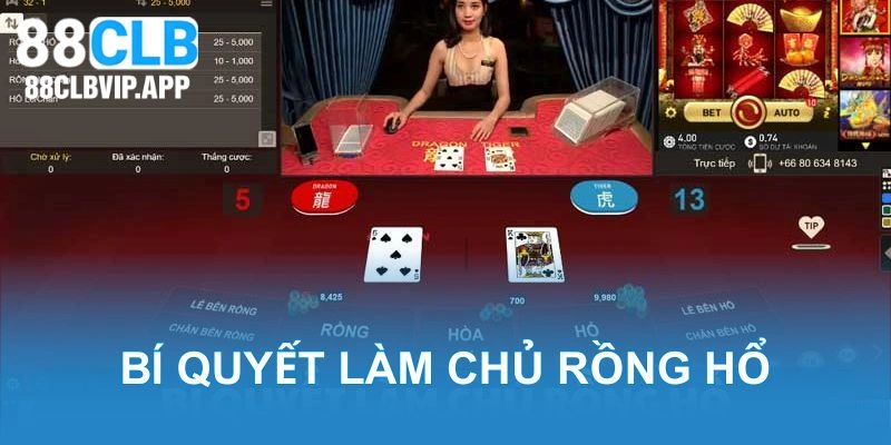 Bí quyết cược Rồng Hổ